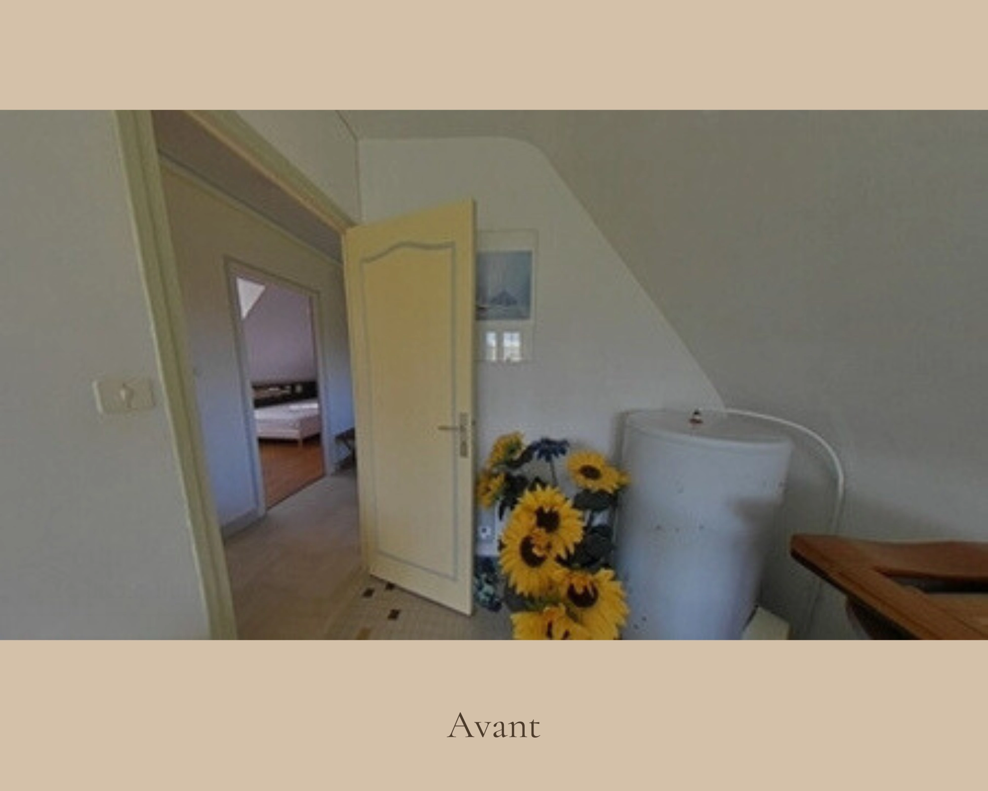 Projet M - Image 4