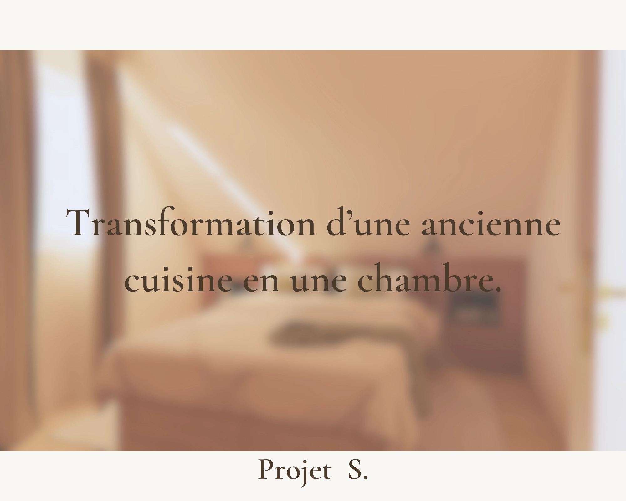 Projet S